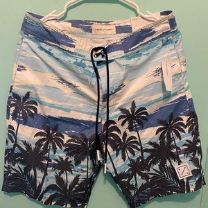 American Eagle swim trunks